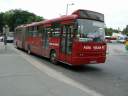 Alba_KBK-784_4.JPG