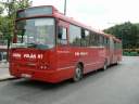 Alba_KBK-784_5.JPG