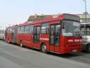Alba_KBK-784_6.JPG
