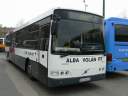 Alba_KCH-913.JPG