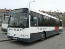 Alba_KCH-913_3.JPG