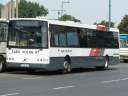 Alba_KCH-913_4.JPG