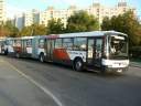 Alba_KHA-779.JPG