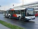 Alba_KHA-779_3.JPG
