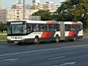 Alba_KHA-779_4.JPG