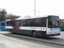 Alba_KMC-176.JPG