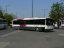 Alba_KMC-176_2.JPG