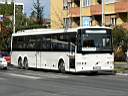 Alba_KNR-768_2.JPG