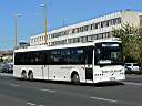 Alba_KNR-769_2.JPG