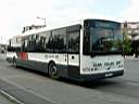 Alba_KXW-191_2.JPG