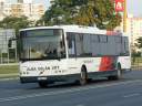 Alba_KXW-193_3.JPG