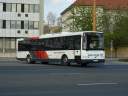 Alba_KXW-194.JPG