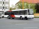 Alba_KXW-195_2.JPG
