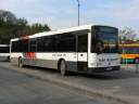 Alba_KXW-443.JPG