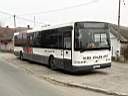 Alba_KXW-443_2.JPG