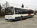 Alba_KXW-443_3.JPG