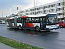 Alba_LCV-610.JPG