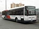 Alba_LHL-988.JPG