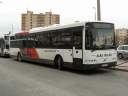 Alba_LHL-989.JPG
