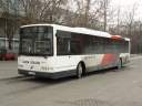 Alba_LHL-991.JPG