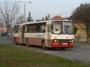Vertes_JOY-879.JPG